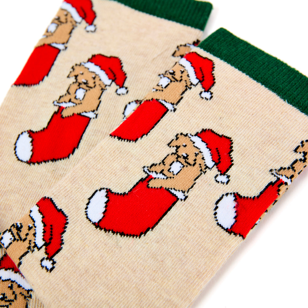 Ladies Puppy In Stocking Christmas Socks