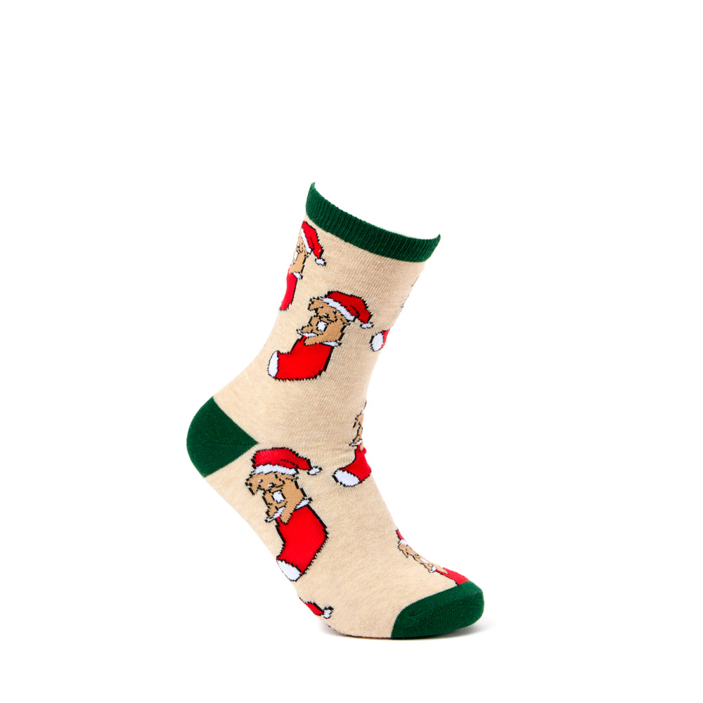 Ladies Puppy In Stocking Christmas Socks